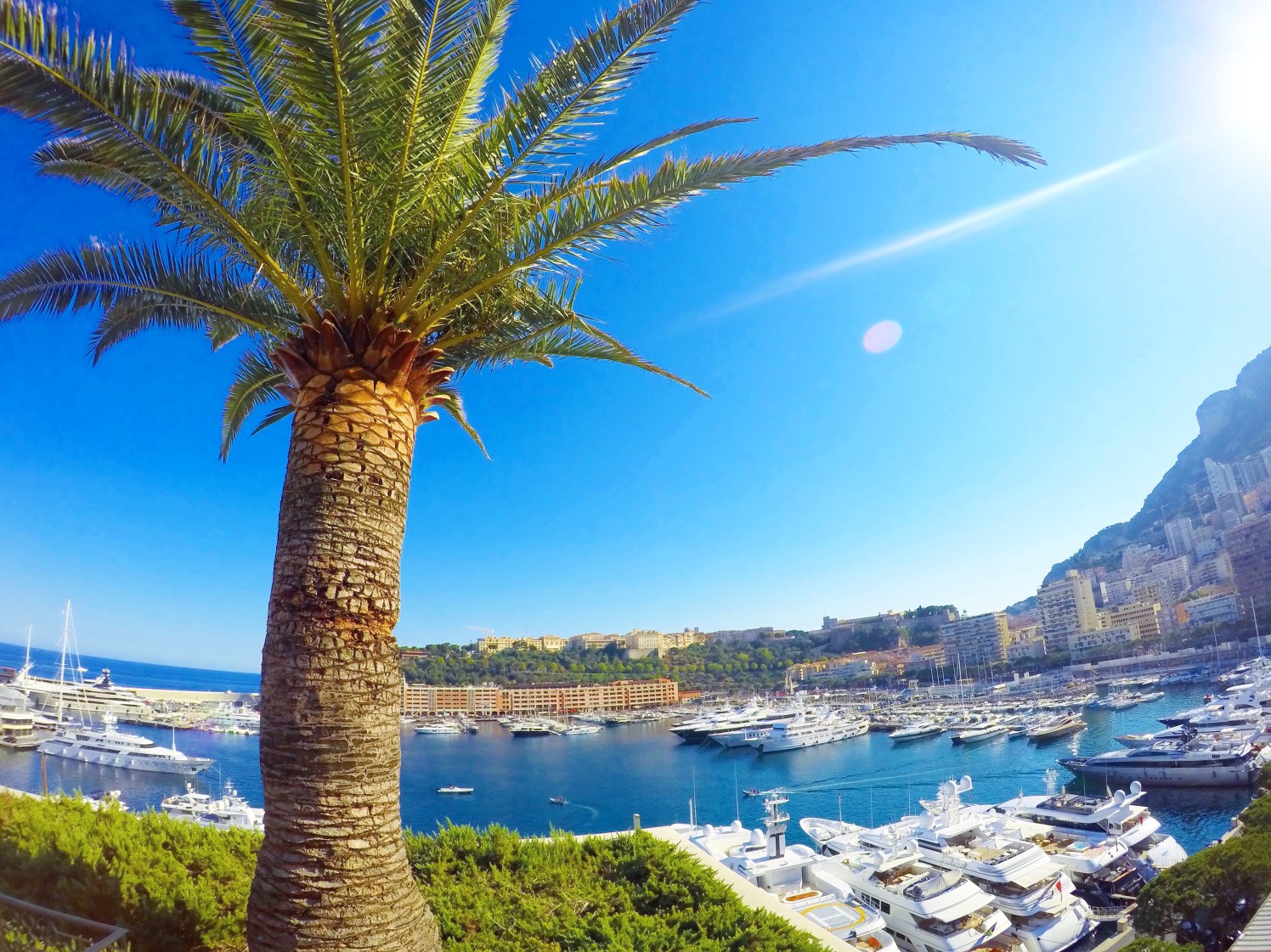 DCIM101GOPROGOPR1241.